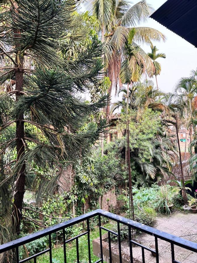 Garden - Spacious 2 Bedroom Apartment, Apartment